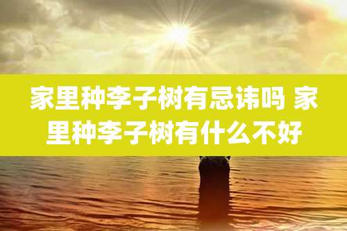 家里种李子树有忌讳吗 家里种李子树有什么不好