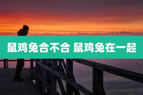 鼠鸡兔合不合 鼠鸡兔在一起