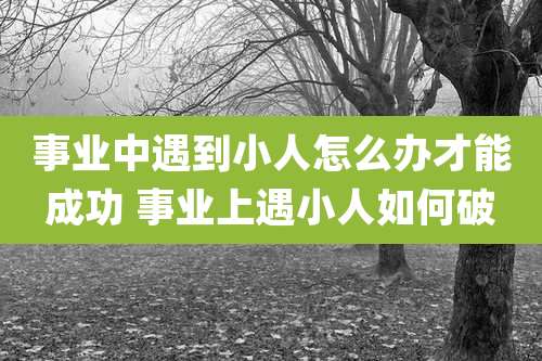 事业中遇到小人怎么办才能成功 事业上遇小人如何破