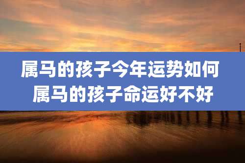 属马的孩子今年运势如何 属马的孩子命运好不好