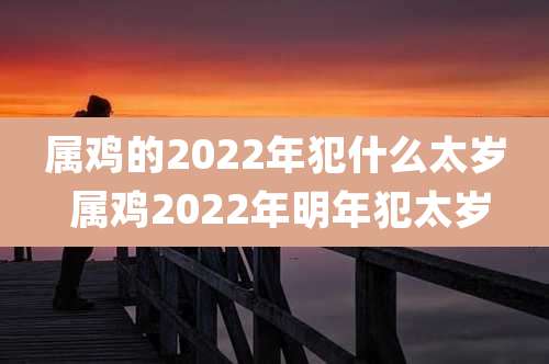 属鸡的2022年犯什么太岁 属鸡2022年明年犯太岁
