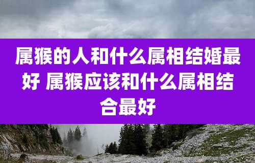 属猴的人和什么属相结婚最好 属猴应该和什么属相结合最好