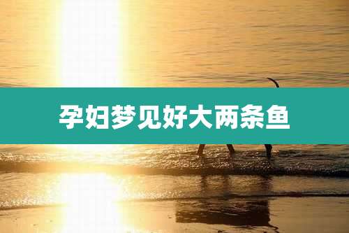孕妇梦见好大两条鱼