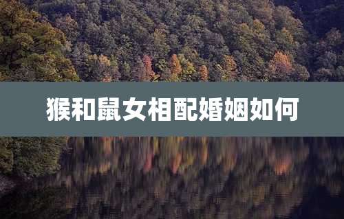 猴和鼠女相配婚姻如何