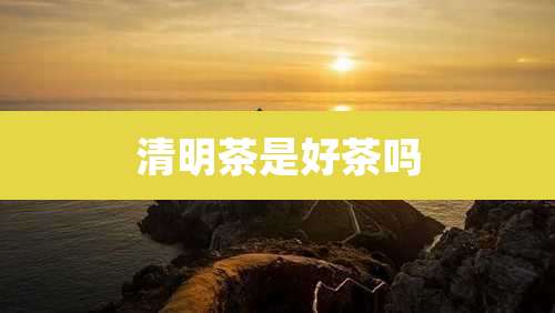 清明茶是好茶吗