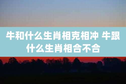 牛和什么生肖相克相冲 牛跟什么生肖相合不合
