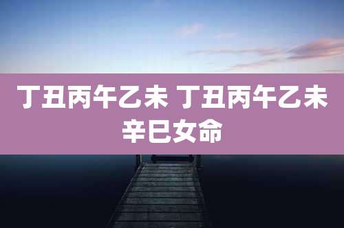 丁丑丙午乙未 丁丑丙午乙未辛巳女命