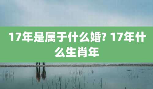 17年是属于什么婚? 17年什么生肖年