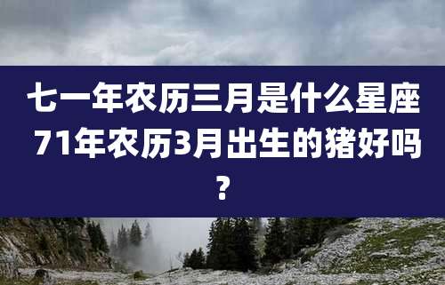 七一年农历三月是什么星座 71年农历3月出生的猪好吗?