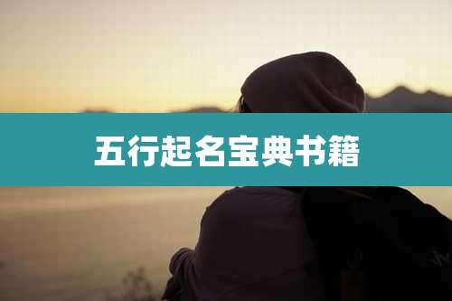 五行起名宝典书籍