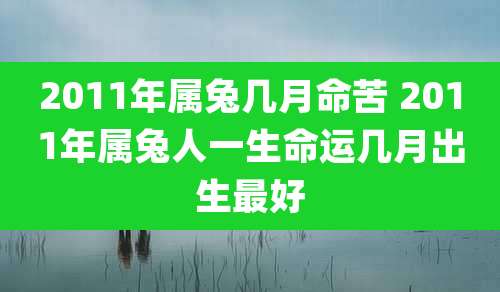 2011年属兔几月命苦 2011年属兔人一生命运几月出生最好