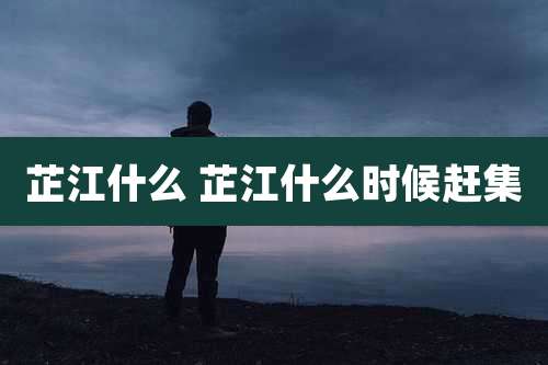 芷江什么 芷江什么时候赶集