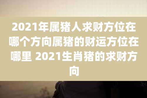 2021年属猪人求财方位在哪个方向属猪的财运方位在哪里 2021生肖猪的求财方向