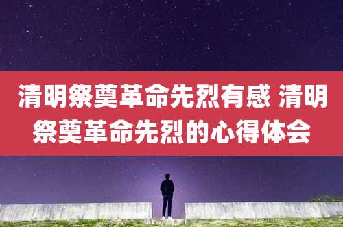 清明祭奠革命先烈有感 清明祭奠革命先烈的心得体会