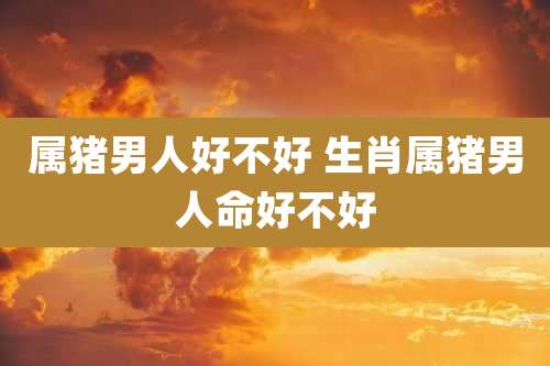 属猪男人好不好 生肖属猪男人命好不好