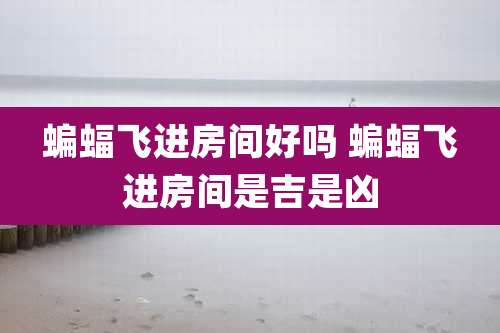 蝙蝠飞进房间好吗 蝙蝠飞进房间是吉是凶