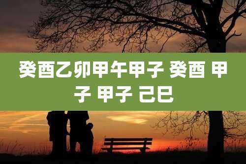 癸酉乙卯甲午甲子 癸酉 甲子 甲子 己巳