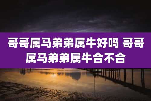 哥哥属马弟弟属牛好吗 哥哥属马弟弟属牛合不合