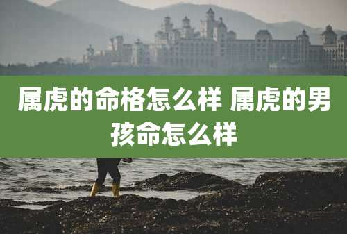 属虎的命格怎么样 属虎的男孩命怎么样