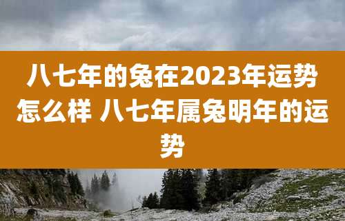 八七年的兔在2023年运势怎么样 八七年属兔明年的运势