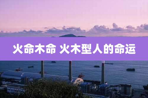 火命木命 火木型人的命运