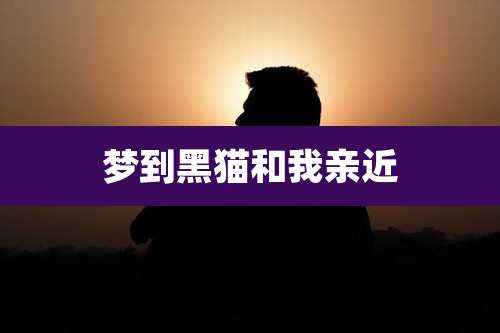 梦到黑猫和我亲近