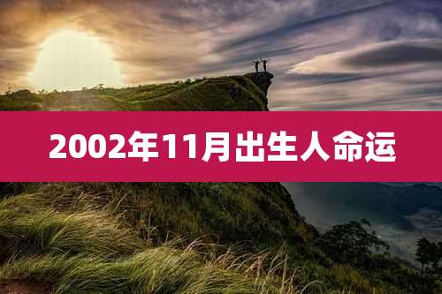 2002年11月出生人命运
