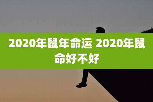 2020年鼠年命运 2020年鼠命好不好