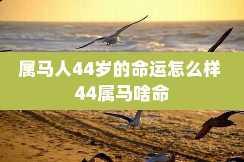 属马人44岁的命运怎么样 44属马啥命
