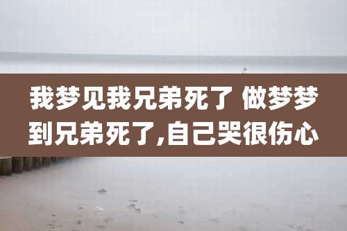 我梦见我兄弟死了 做梦梦到兄弟死了,自己哭很伤心