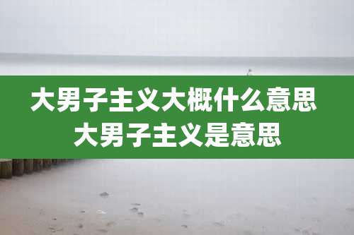 大男子主义大概什么意思 大男子主义是意思