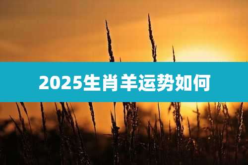 2025生肖羊运势如何