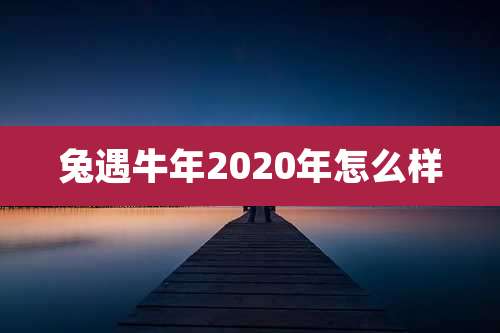 兔遇牛年2020年怎么样