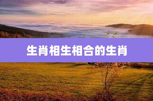 生肖相生相合的生肖