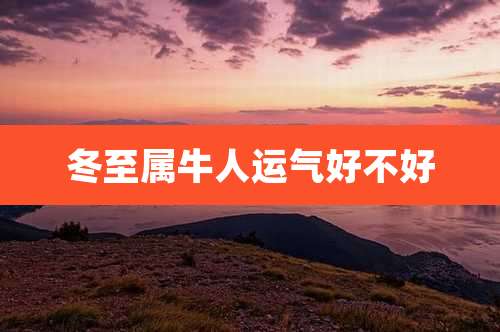 冬至属牛人运气好不好