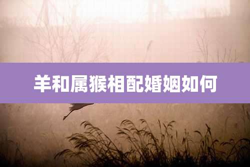 羊和属猴相配婚姻如何