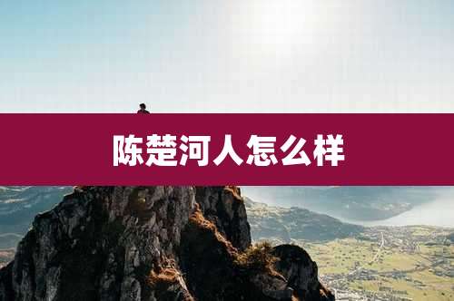 陈楚河人怎么样