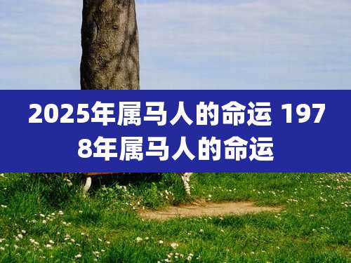 2025年属马人的命运 1978年属马人的命运