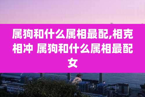 属狗和什么属相最配,相克相冲 属狗和什么属相最配女