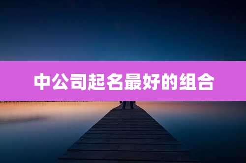 中公司起名最好的组合