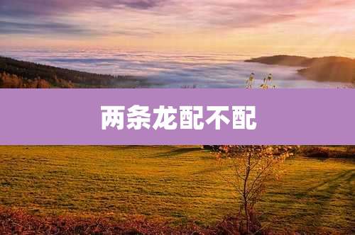两条龙配不配