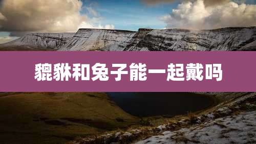 貔貅和兔子能一起戴吗