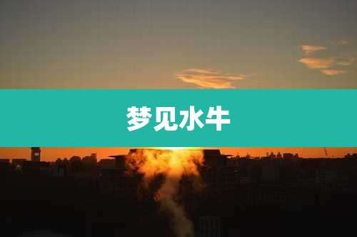 梦见水牛
