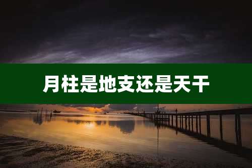 月柱是地支还是天干