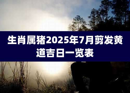 生肖属猪2025年7月剪发黄道吉日一览表