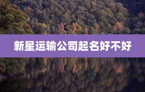 新星运输公司起名好不好