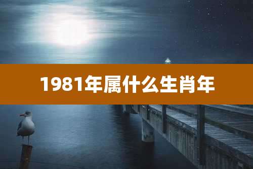 1981年属什么生肖年