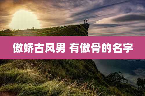 傲娇古风男 有傲骨的名字