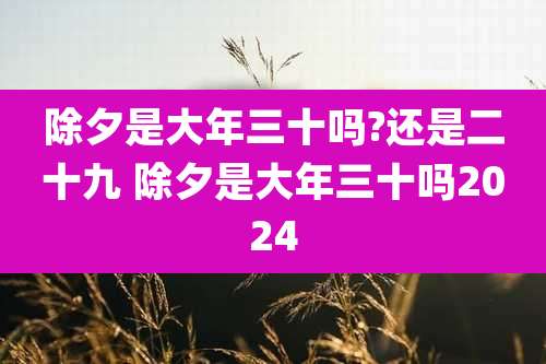 除夕是大年三十吗?还是二十九 除夕是大年三十吗2024