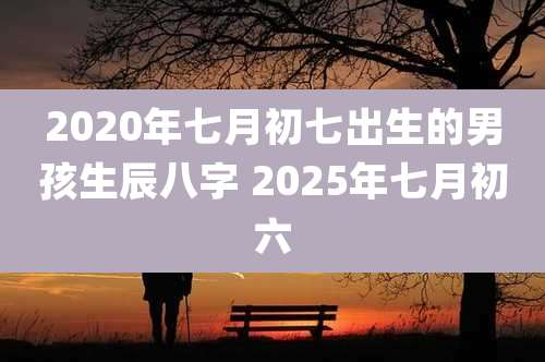 2020年七月初七出生的男孩生辰八字 2025年七月初六